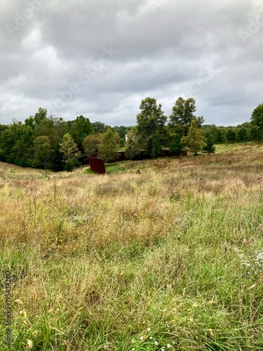 Natural meadow landscape with winding water stream and trees under cloudy sky