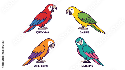 Colorful Cartoon Parrots Communication Set: Squawking, Calling, Whispering, Listening. Vector illustration of talking birds