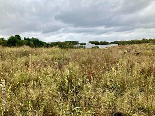 Wild grass meadow under cloudy sky with textured field landscape