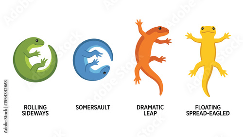 Dynamic Lizard and Newt Movement Poses Vector Illustrations: Rolling, Somersault, Leap, Floating Set