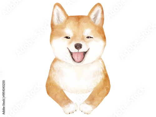 柴犬　満面の笑みのかわいいシバイヌ　水彩イラスト
