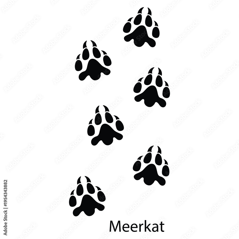 Fototapeta premium Meerkat Footprint Silhouette Vector – Small Animal Paw Print Track Icon EPS