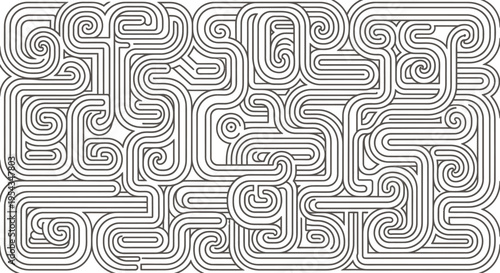Intricate monochrome labyrinth pattern with interwoven curves and swirls.
