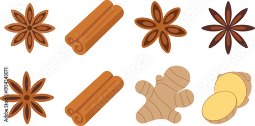 Colorful flat spices illustration star anise cinnamon sticks ginger root slices isolated vector set for cooking ingredients design use