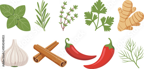 Flat vector herbs and spices collection basil rosemary thyme parsley ginger garlic cinnamon chili peppers natural ingredients illustration set