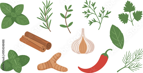 Flat vector herbs and spices set basil rosemary thyme parsley dill mint garlic cinnamon ginger chili pepper illustration collection