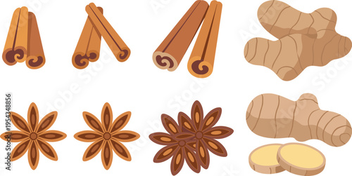 Flat vector spices collection cinnamon sticks star anise ginger root slices isolated colorful culinary ingredients illustration for cooking design