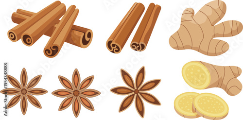 Flat vector spices collection cinnamon sticks star anise ginger root slices isolated colorful culinary ingredients illustration set for cooking