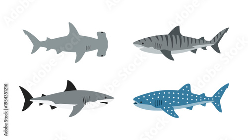 Diverse Shark Species Illustration Set: Hammerhead, Tiger, Great White, Whale Shark Vector