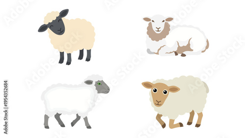 Set of various cartoon sheep illustrations. Cute domestic farm animals graphic collection on white.