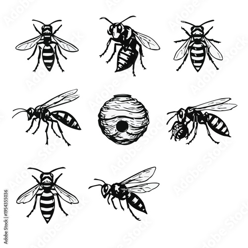 A vector illustration of a wasp showing various gestures, designed in black and white, featuring clean lines and expressive poses that create a bold and dynamic visual style.