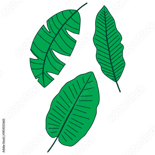 big leaf logo icon vector design

