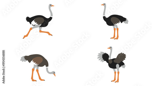 Ostrich Character Poses Set. Cartoon Vector Illustrations of Flightless Birds: Running, Standing, Eating, and Flapping Wings.