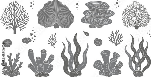 Hand-Drawn Coral and Seaweed Illustrations in Various Styles for Ocean Life and Marine Biology Designs