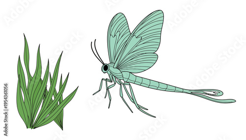 A mayfly vector illustration with a green grass background