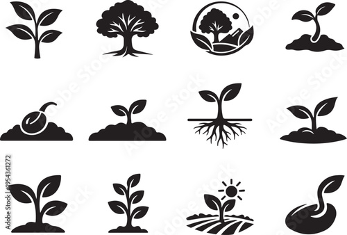 Plant lifecycle solid icons showing seed germination, roots, sprout and leaves