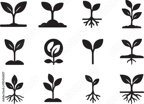 Green plant growth solid icons showing roots, seed germination, sprout and leaves