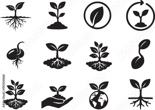 Nature plant growth icons in solid style with roots, seed germination and leaves