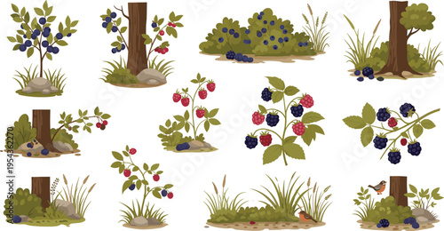 Berry Bush and Wild Fruits Collection with Blackberries Raspberries and Trees in Nature Landscape Vector Illustration Set