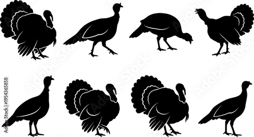 wild turkey silhouettes vector art illustration
