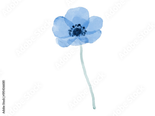 水彩で描いた美しい青色のアネモネの花