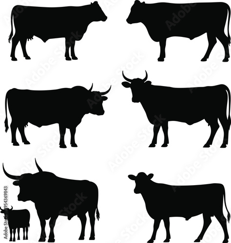 Cow and bull silhouette collection, cattle farm animal poses set, livestock mammal silhouettes isolated vector icons for agriculture design