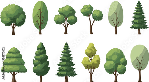 Green tree collection set with various deciduous and coniferous species including pine fir and oak for landscape design architectural plans and nature vector.