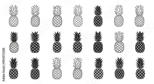 Pineapple Collection: Hand-Drawn and Silhouette Tropical Fruit Icons