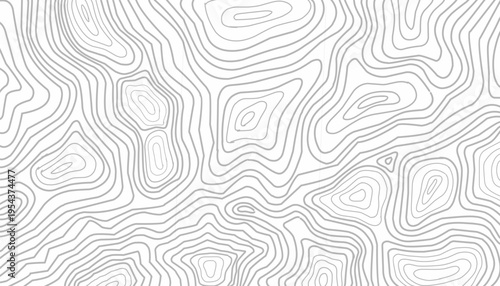 Topographic Seamless Pattern Design. Abstract Contour Line Illustration. Repeating Organic Line Texture. Modern Minimal Line Style. Background For Wallpaper Textile.