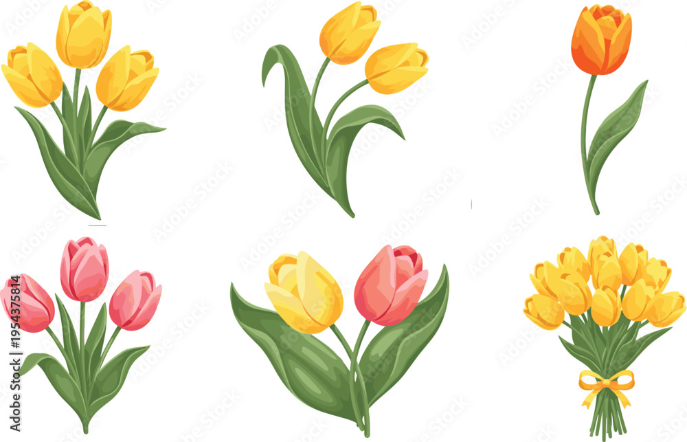 Obraz premium Tulip Flower Vector Set with Yellow, Red, and Pink Blossoms in Realistic Botanical Style for Spring Garden Design, Floral Decoration, and Nature Illustration