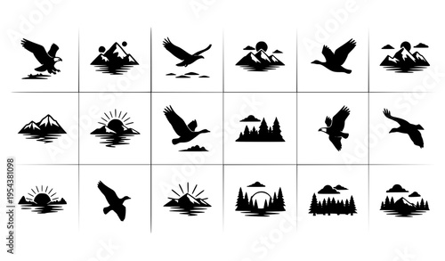 Step-by-step bird wing movement silhouettes showing flapping and flight vector