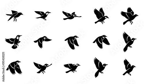 Bird wing movement icon pack showing step-by-step flapping silhouettes vector
