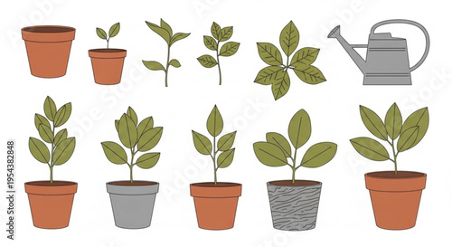 Various potted plants and seedlings with watering can on white background for gardening and growth concepts