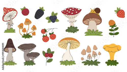 A vibrant illustration of mushrooms and berries in a whimsical forest setting