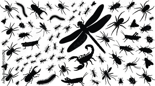 Insect and arachnid silhouettes collection, various bugs and creepy crawlers set, wildlife illustration, black design, entomology concept, nature diversity, detailed animal shapes