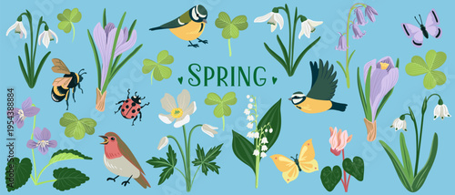 vector drawing spring set with birds, flowers and insects, blue tits snowdrop, bluebells,wild sorrel and butterflies, hand drawn illustration, cute natural background
