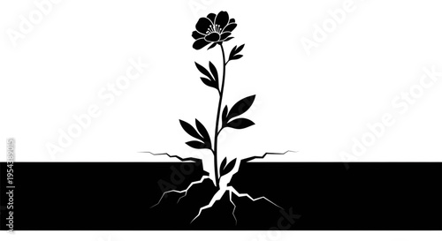 Silhouette of Flower Growing Through Cracked Earth with Visible Roots, Resilience Concept