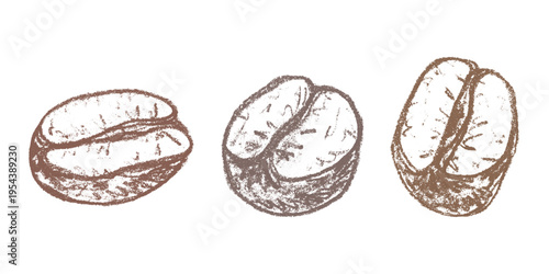 Set of hand drawn fresh roasted coffee bean Arabica robusta seed doodle Single element for design print packaging label decor