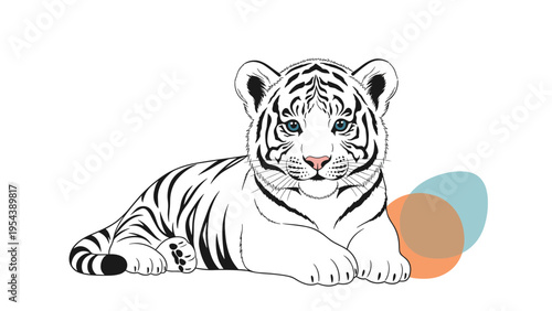 Beautiful illustration of a white tiger cub lying down with its piercing blue eyes and distinctive black stripes on a clean white background.