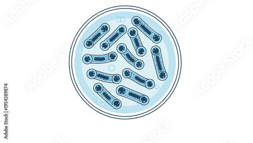 Scientific illustration of blue rod shaped bacteria growing in a petri dish laboratory culture representing microbiology research and health study.