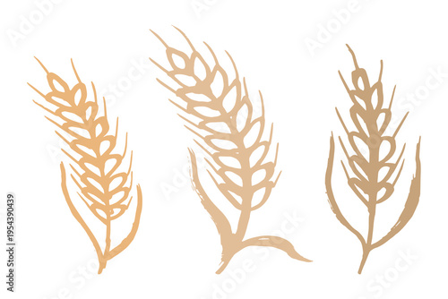 Set of hand drawn cereal wheat oat rye barley rice ears spikelet clipart Organic wheat bread agriculture farming harvest healthy food Single element for design print packaging label decor