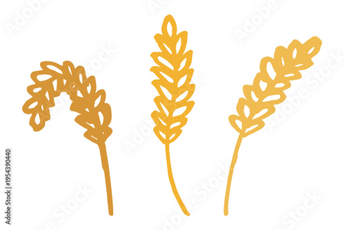 Set of hand drawn cereal wheat oat rye barley rice ears spikelet clipart Organic wheat bread agriculture farming harvest healthy food Single element for design print packaging label decor