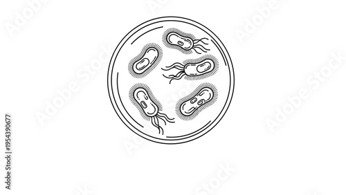 Microscope view of bacteria cells in a petri dish for laboratory medical research and scientific biology experiments.