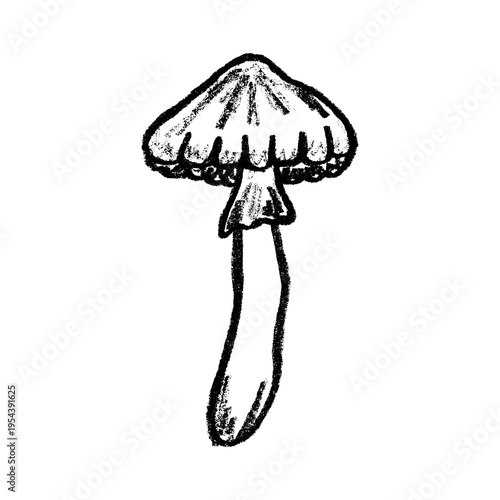 Hand drawn mushroom doodle Botanical illustration Cute autumn mushroom Healthy eco food Organic vegetarian food For stickers, greeting card, design, print, packaging, decor, kids books