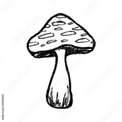 Hand drawn mushroom doodle Botanical illustration Cute autumn mushroom Healthy eco food Organic vegetarian food For stickers, greeting card, design, print, packaging, decor, kids books