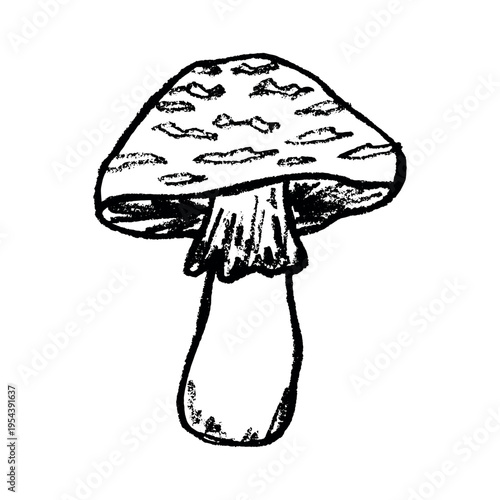 Hand drawn mushroom doodle Botanical illustration Cute autumn mushroom Healthy eco food Organic vegetarian food For stickers, greeting card, design, print, packaging, decor, kids books
