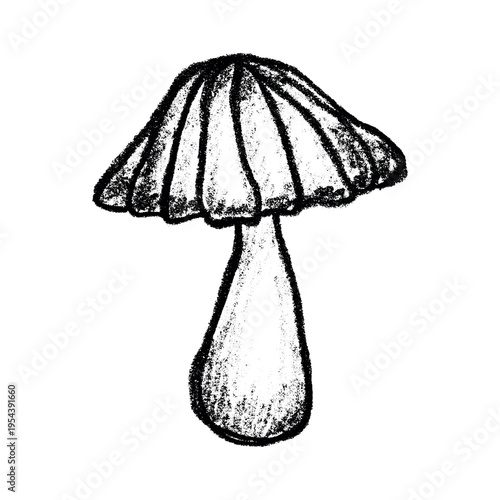 Hand drawn mushroom doodle Botanical illustration Cute autumn mushroom Healthy eco food Organic vegetarian food For stickers, greeting card, design, print, packaging, decor, kids books