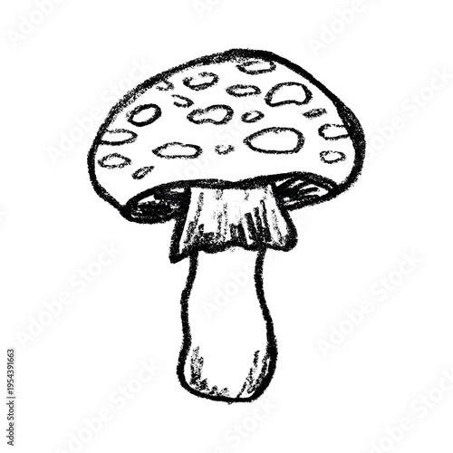 Hand drawn mushroom doodle Botanical illustration Cute autumn mushroom Healthy eco food Organic vegetarian food For stickers, greeting card, design, print, packaging, decor, kids books