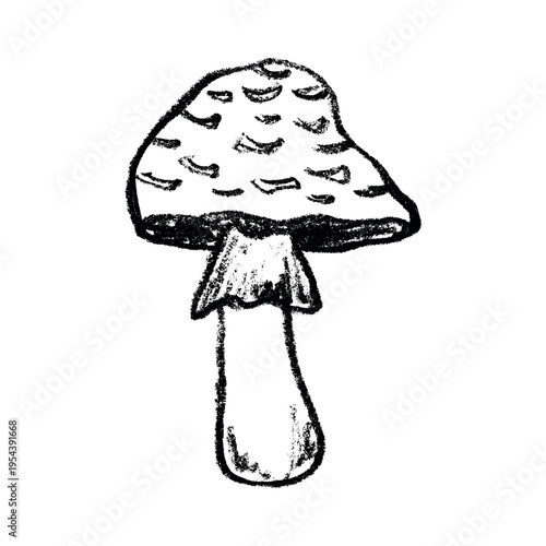 Hand drawn mushroom doodle Botanical illustration Cute autumn mushroom Healthy eco food Organic vegetarian food For stickers, greeting card, design, print, packaging, decor, kids books