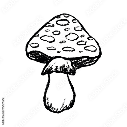 Hand drawn mushroom doodle Botanical illustration Cute autumn mushroom Healthy eco food Organic vegetarian food For stickers, greeting card, design, print, packaging, decor, kids books